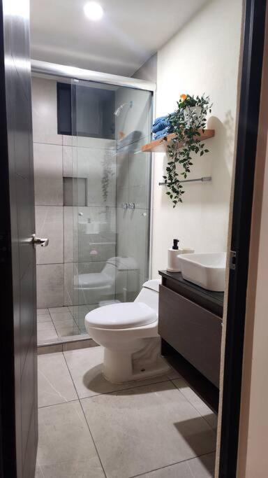 Basico Departamento Apartamento